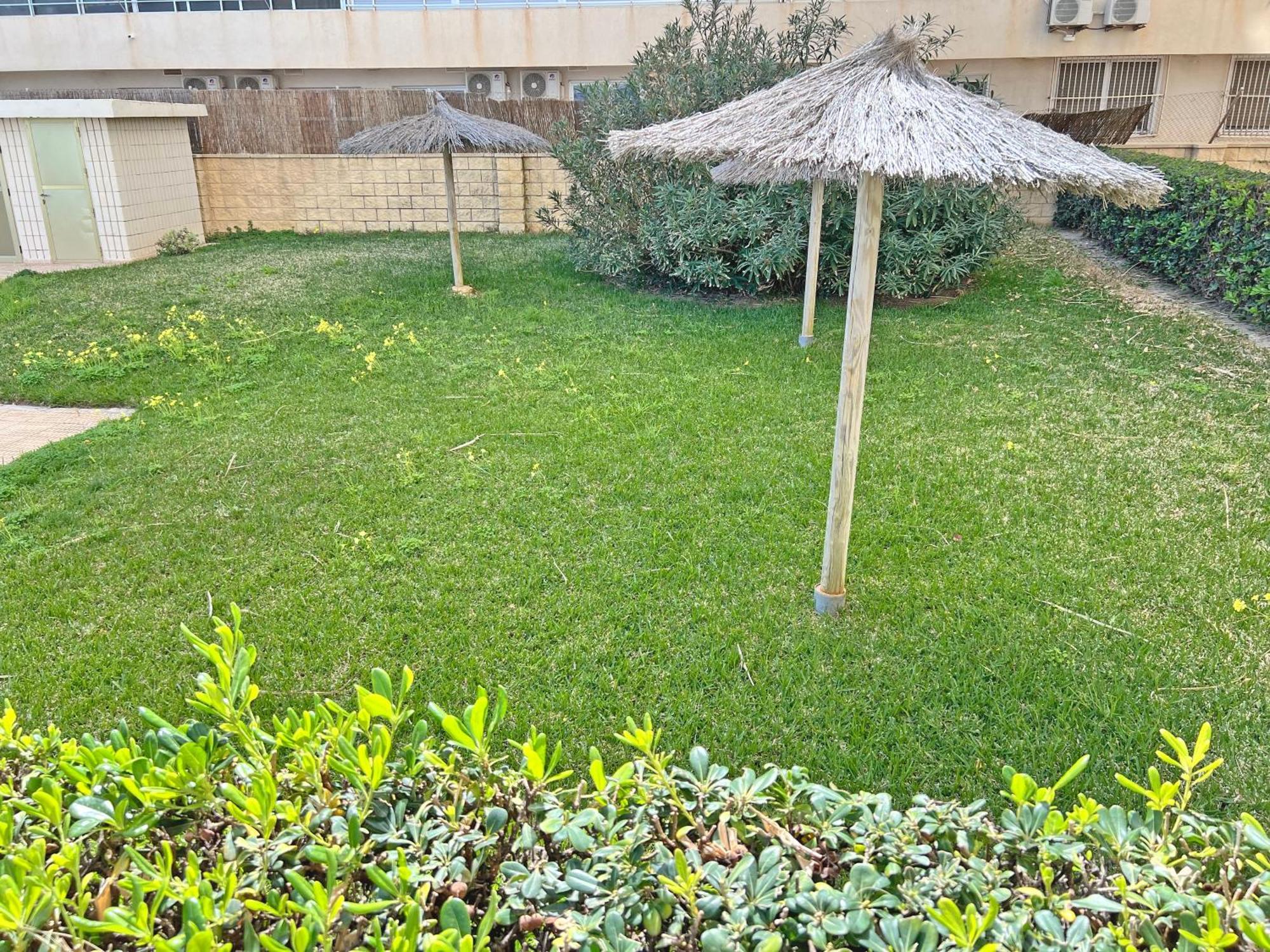 Ferienwohnung Oasis Frente Al Mar. Parking Gratis El Campello Exterior foto